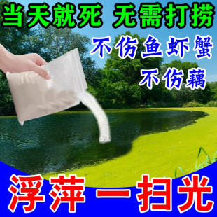 浮萍清除剂鱼池鱼塘除藻去苔剂杀青苔水葫芦花生一扫光烂根剂神器