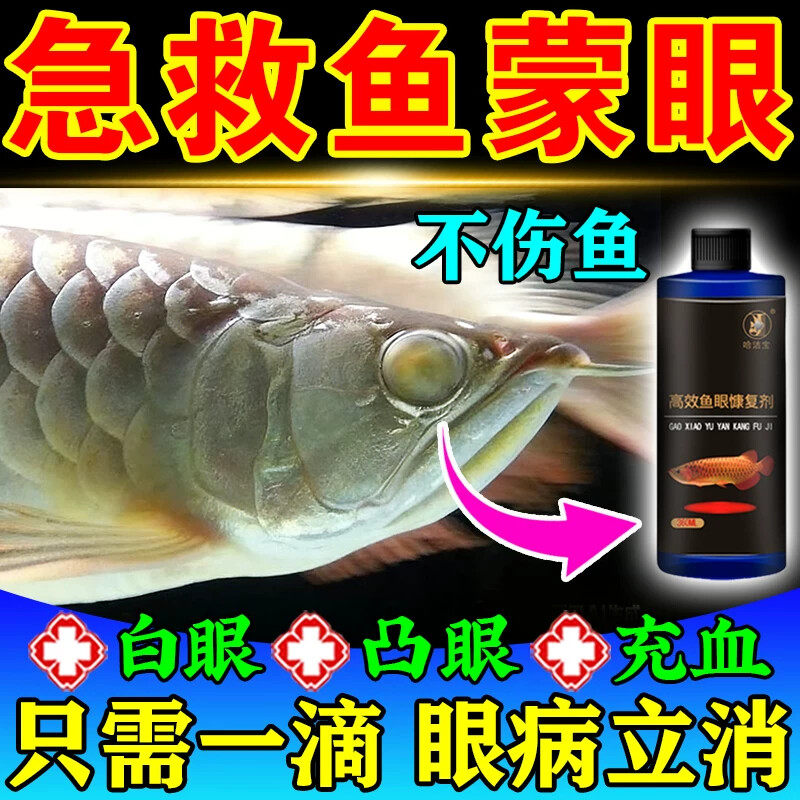 治鱼病的药鱼白眼病金鱼龙鱼蒙眼专用药肿胀充血观赏鱼突眼万能药