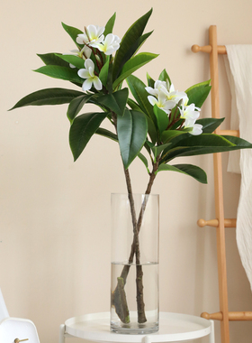 泰环 巨型鸡蛋花彷真花长枝假树枝 室内落地高瓶插花摆件客厅装饰