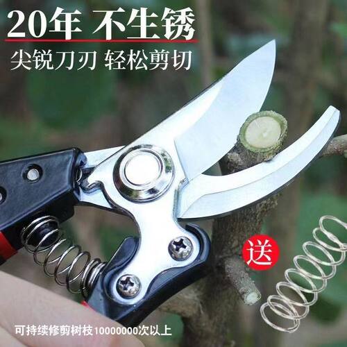修枝剪树枝专用剪子剪枝剪刀果树剪修枝剪粗枝剪树枝剪花艺剪工具