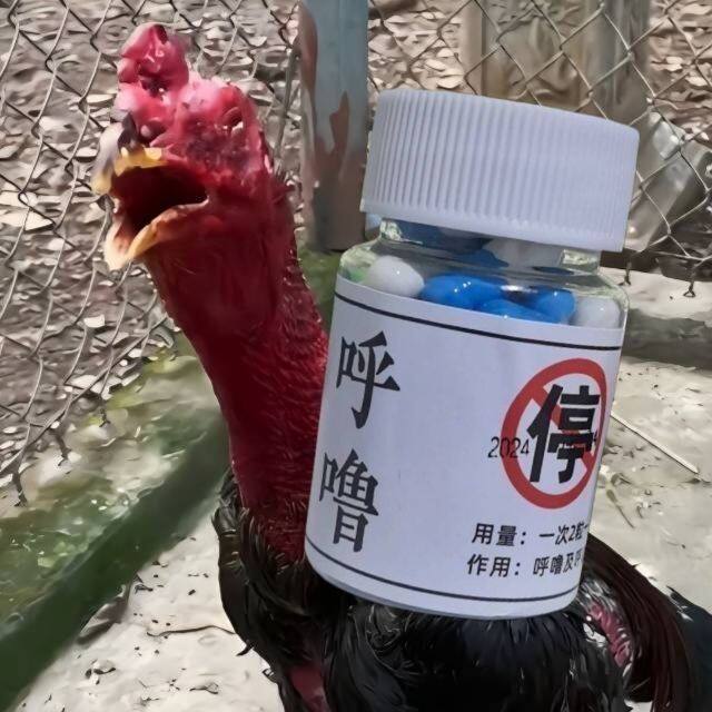 鹦鹉鸟用驱虫药体内驱虫药鹦鹉驱鸟禽类医疗用品
