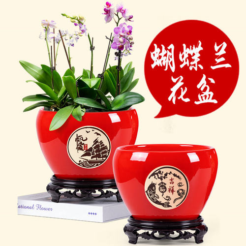 中国风陶瓷花盆喜庆送礼红色花盆