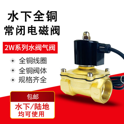 全铜常闭水下喷泉防水电磁阀水阀地埋式控制阀220v开关阀24v线圈 - 封面