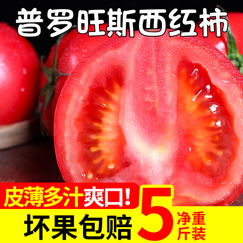 露天水果大西红柿沙瓤番茄9斤新鲜蔬菜小番茄5斤自然熟生食煮食