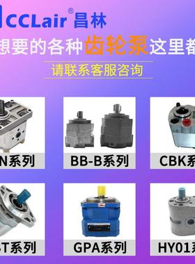 APGH2内啮合APG3/4齿轮泵CP2 H0 HGG1 HG2 CP0/-01/8APGH2内/13/1