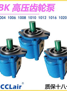 CBK61004高压1012齿轮泵1006/1008/1101/0CBK10041/10200/1025-B1