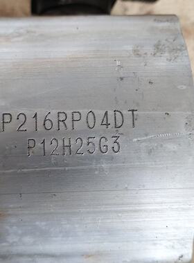 P216RP04DT 19轴液压齿轮泵 油泵