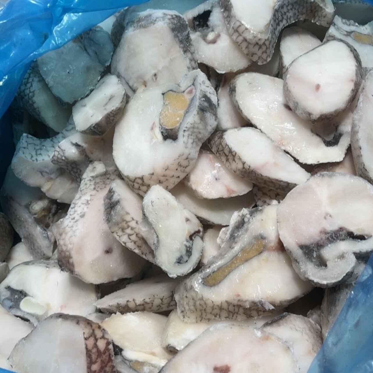 新鲜 现切 鳕鱼片 3斤