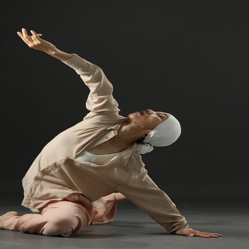 dance谢欣同款修身风透气衬衫