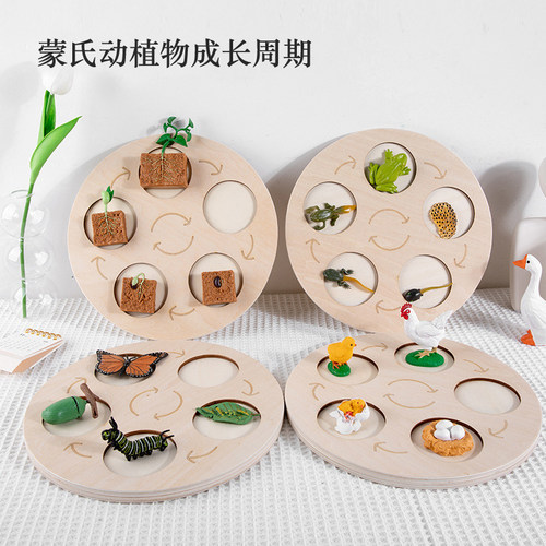 蒙氏品牌教具形象生动实木制作