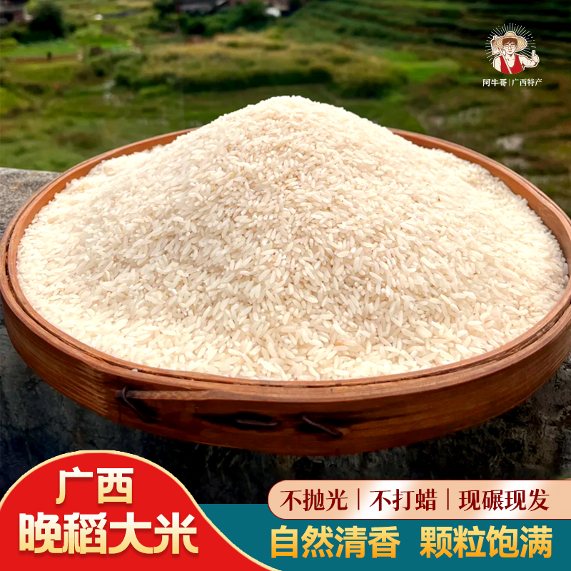 大米2025年新米晚稻长粒香广西农村香米1斤大米丝苗煲仔饭蛋炒饭