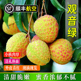 观音绿荔枝新鲜包邮5斤高端应当季水果进奉孕妇罂超甜广西东荔枝