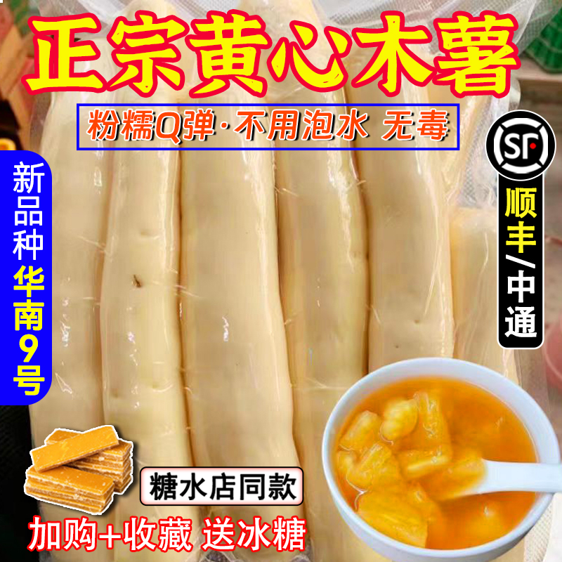 黄心木薯广西现挖现发产地直发
