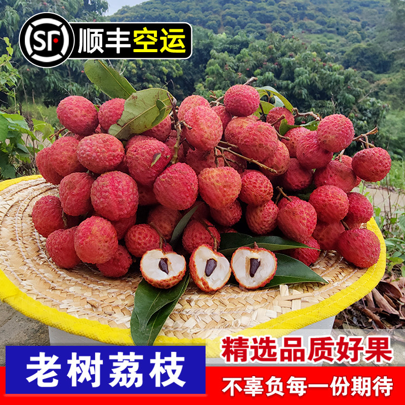 桂味荔枝新鲜包邮5斤 高端应当季水果精品广西灵山观音绿顺丰礼盒