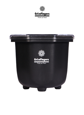 【一丁轮回银饰】植物系列Gri:nFingers 双层观根盆PP PC材质