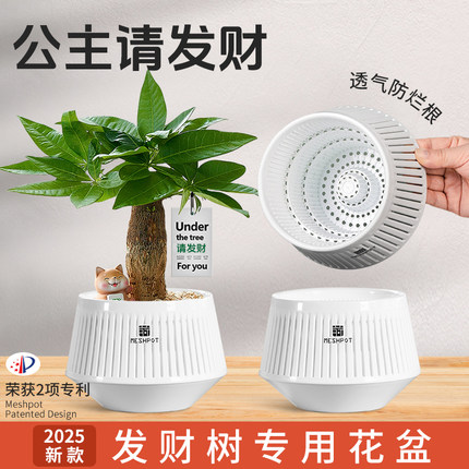 2025新款美莳发财树专用花盆小盆景客厅轻奢高级感家用透气控根盆