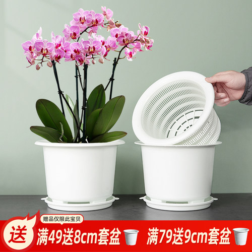蝴蝶兰专用花盆大口径透气塑料