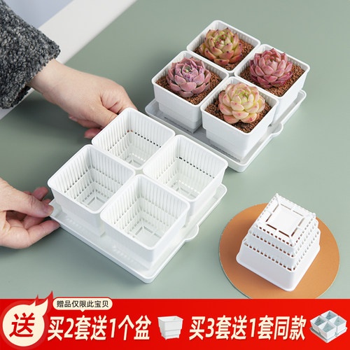 美莳种多肉植物的花盆组合塑料创意精致小白方带托盘一体控根专用 - 封面
