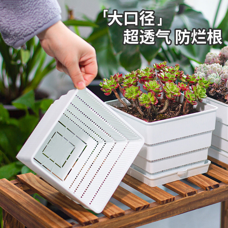 美莳多肉大口径控根花盆透气塑料图片