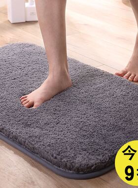 Entrance door floor mat door mat bathroom toilet carpe