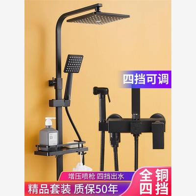 Blackshowerdtpurizbm