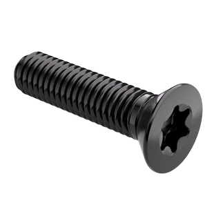 NS 黑色316不锈钢沉头梅花螺丝钉GB2673平头内梅花防盗螺栓防拆