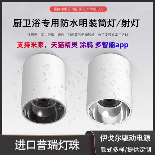 工程灯具项目定制明装筒灯射灯