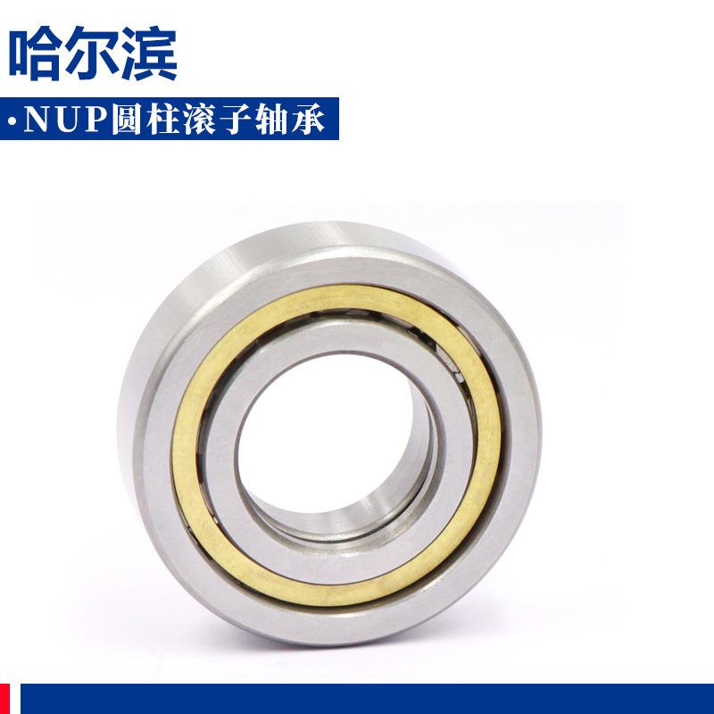 哈尔滨圆柱滚子轴承NUP213 214 215 216 217 218 219 220 221EM