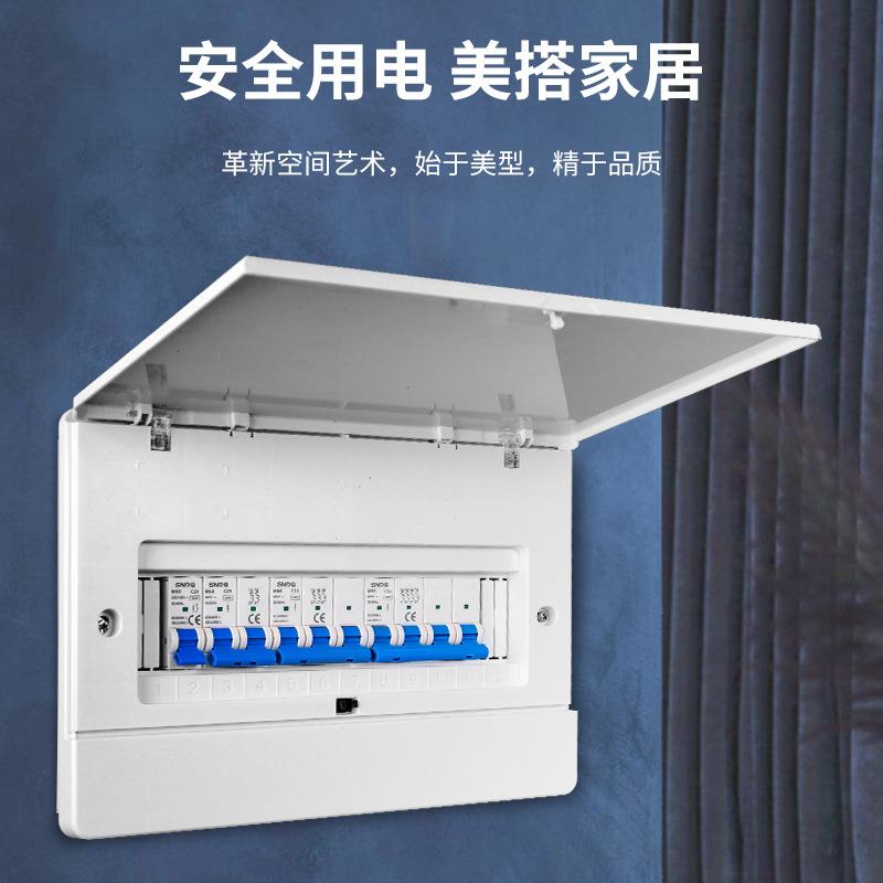 SNDQ双宁电气PZ30配电箱家用空气开关盒子空开明装暗装强电箱铁箱