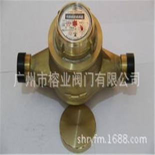 50T耐德FRA1554 13流量计LL 04F2合肥仪表厂