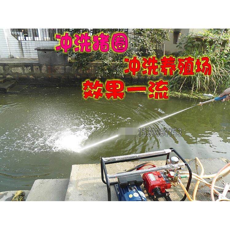 220V电动喷雾器农用高压打药机/高压洗车泵冲洗机养殖场冲洗