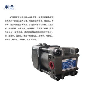 G40F5063内啮合齿轮泵NB2 G25F20D32NB4 G16F10 G125FC100NB3 NB5