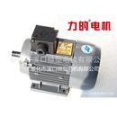 YS71 AO2 2800转 力 1400转 4P双速电机 电机