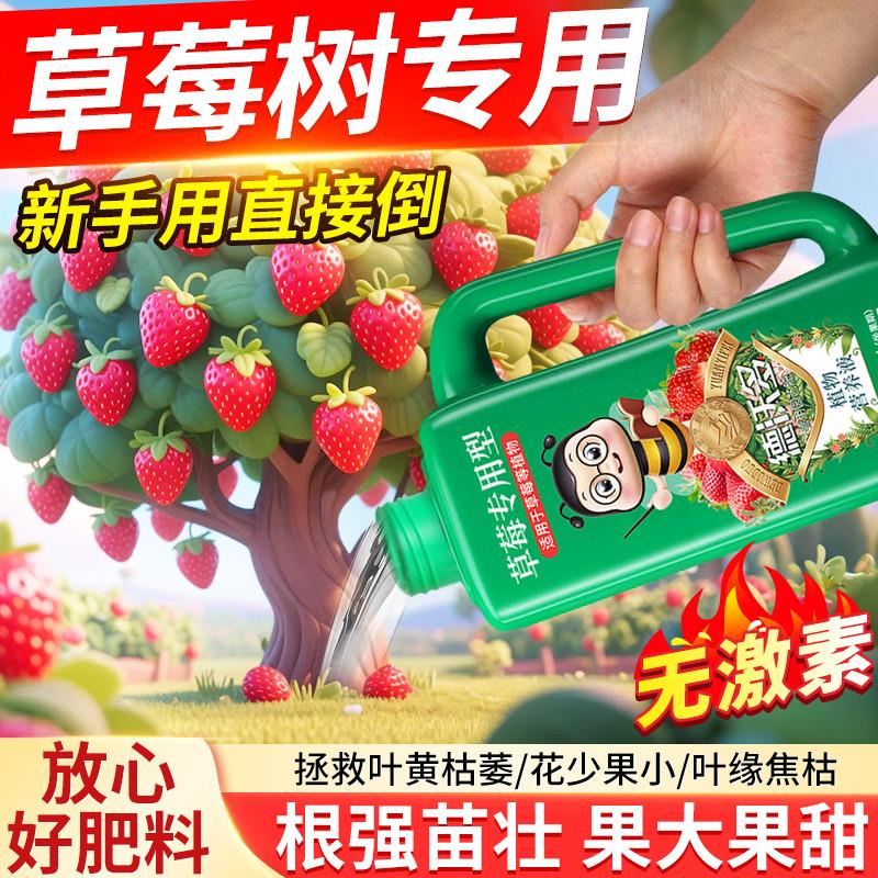 草莓营养液植物专用肥浓缩家用盆栽有机肥料草莓肥生长坐果期瓜果