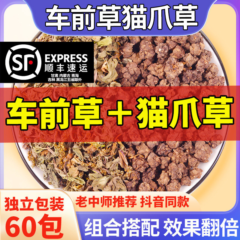 猫爪草车前草组合泡水喝