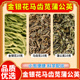 金银花马齿苋蒲公英金银花10g马齿苋20g洗头中药包中药材茶包泡水