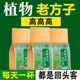 买一发五 葛根苦瓜桑叶茶玉米须茶老人养生茶玉米须茶泡水喝高