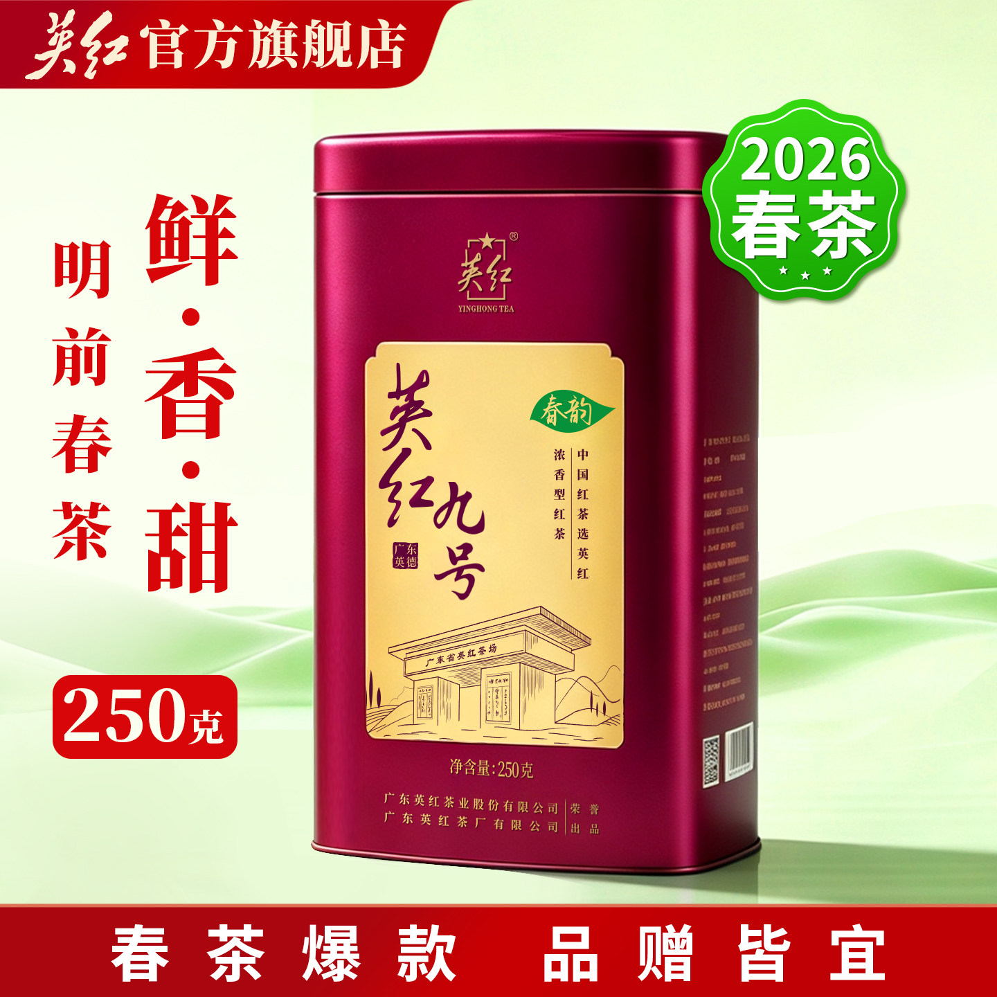 【2026明前春茶】英红九号官方旗舰正品英德红茶大份量罐装共250g