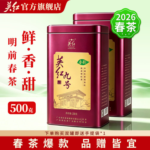 春茶 大份量250g/罐 英红九号春茶