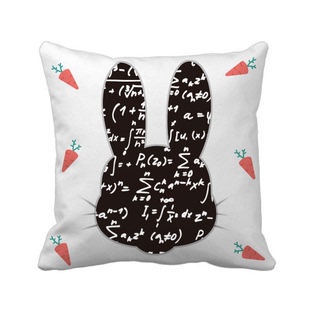 求和数学理科公式演算兔子方形抱枕靠枕沙发靠垫双面含芯礼物定制