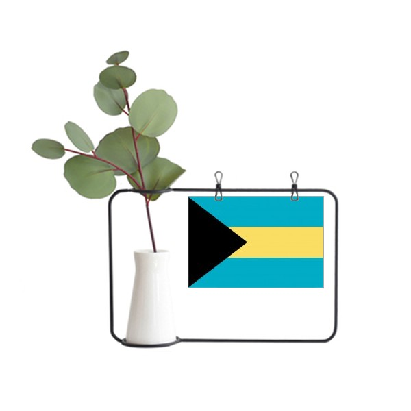 巴哈马国旗北美洲国家象征符号图案金属相框陶瓷花瓶装饰假花仿真,鲜花速递/花卉仿真/绿植园艺,仿真花,淘宝优惠券,粉丝福利购,淘宝优惠卷