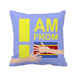 我来自斯威士兰拥抱方形抱枕靠枕沙发靠垫双面含芯礼物定制简约定