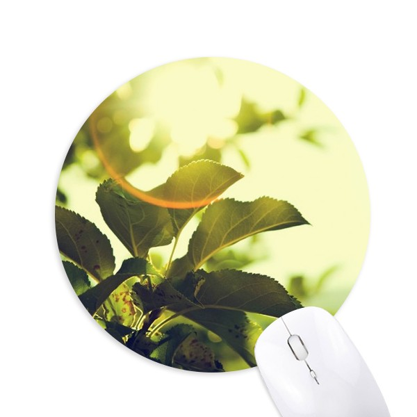 阳光植物叶子图片圆形游戏办公防滑橡胶鼠标垫礼物定制胶垫定做