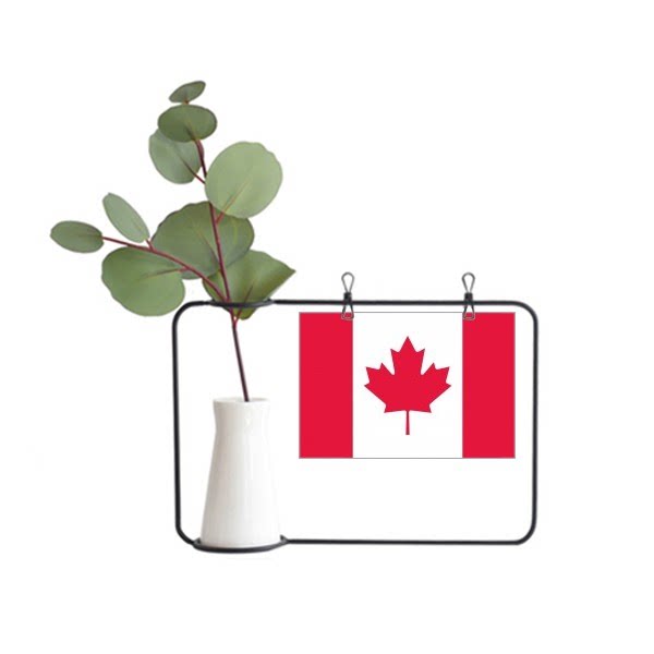 加拿大国旗北美洲国家象征符号图案金属相框陶瓷花瓶装饰假花仿真
