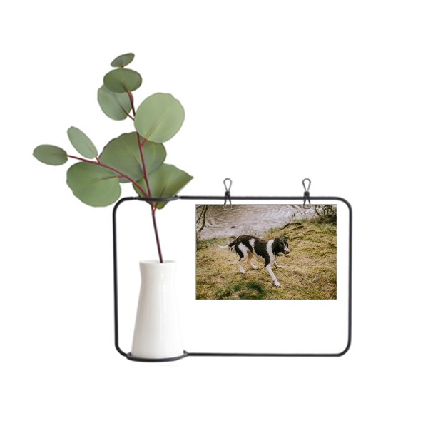 狗宠物孤独夜晚金属相框陶瓷花瓶装饰假花仿真花创意卡片ins,鲜花速递/花卉仿真/绿植园艺,仿真花,淘宝优惠券,粉丝福利购,淘宝优惠卷