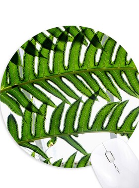 芭蕉植物叶子图片圆形游戏办公防滑橡胶鼠标垫礼物定制胶垫定做