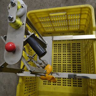 新会柑橘开皮机剥皮机陈皮机沃柑椪柑不锈钢开皮机新款开四花专用