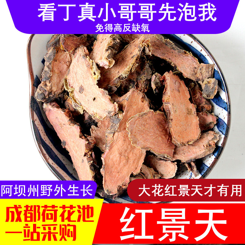 四川阿坝州红景天片高原反应西藏泡茶高反高山大株红景天粉500g