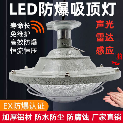 防爆智能声光控雷达感应灯