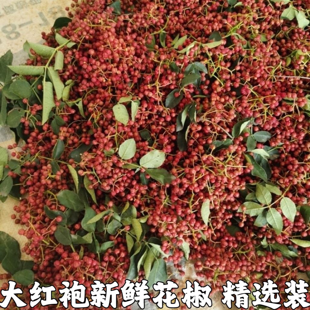 新鲜花椒湖北宜昌红花椒现摘大红新鲜花椒